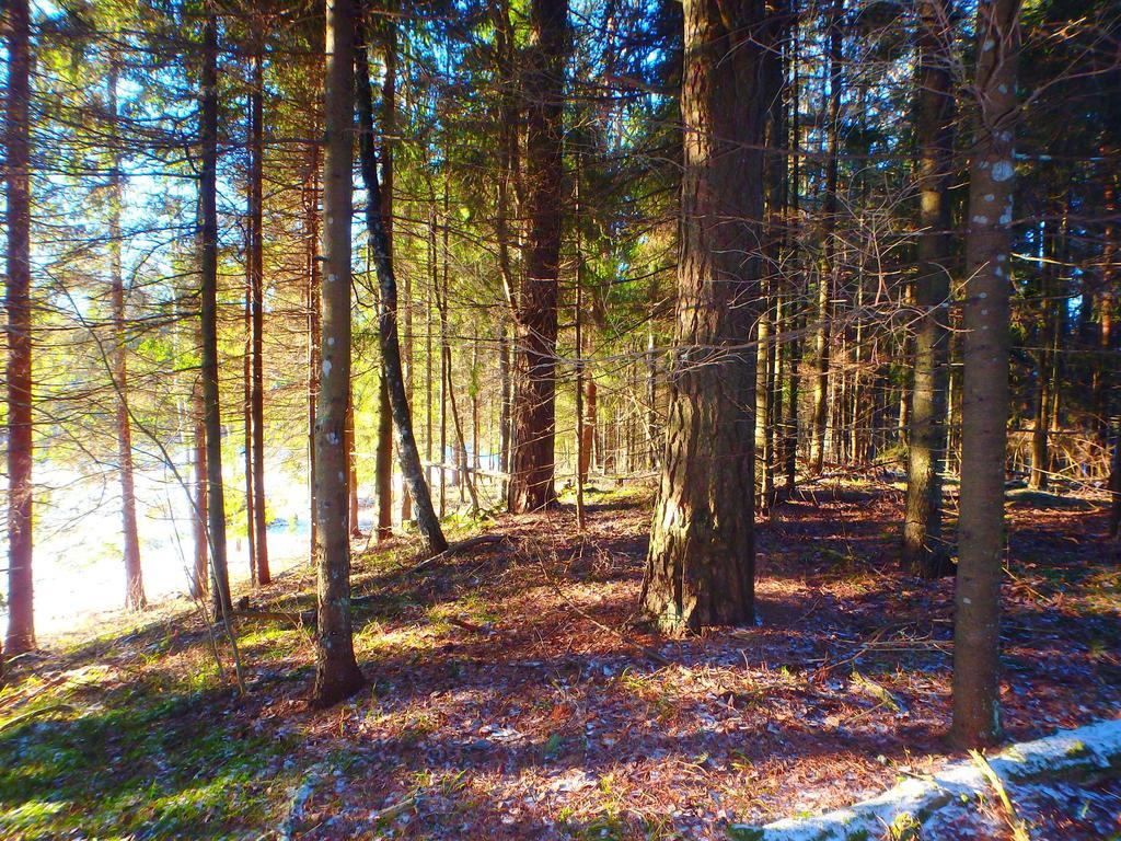 Karumetsa Apartment Otepää Zewnętrze zdjęcie